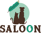 Saloon