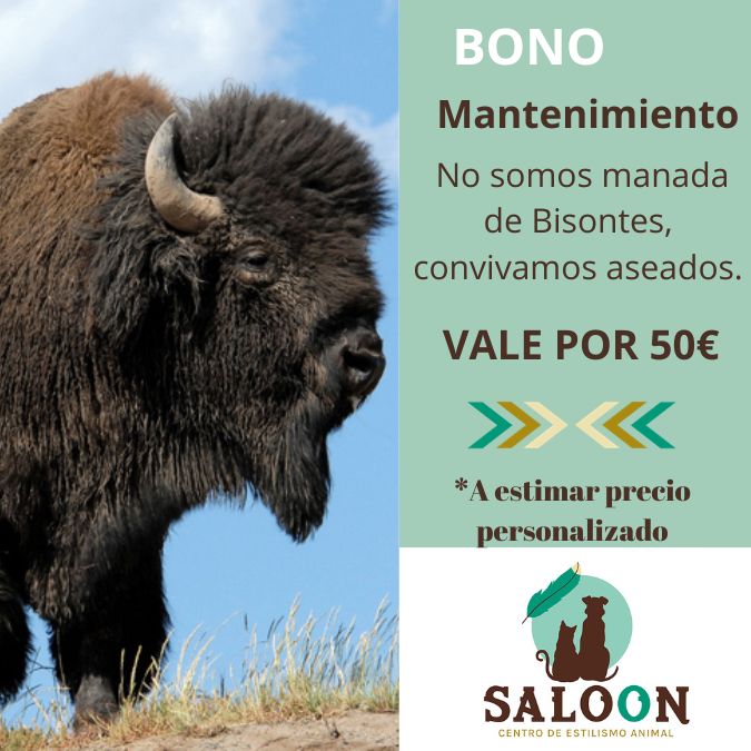 Curso de pago 1